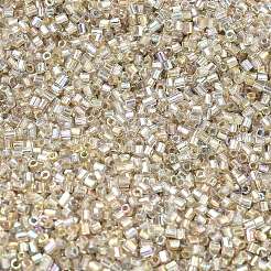 FGB 15/0 Grade A Glass Seed Beads&nbsp;X-SEED-A023-F15-H634