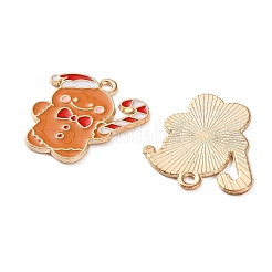 Alloy Enamel Pendants&nbsp;X-ENAM-I061-01KCG-11