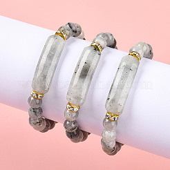 Natural Labradorite Beads Stretch Bracelets&nbsp;BJEW-T022-04E