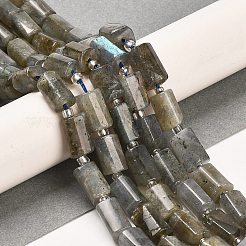 Natural Labradorite Beads Strands&nbsp;G-G068-A10-01