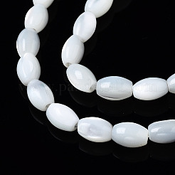 Natural Trochid Shell/Trochus Shell Beads Strands&nbsp;X-SSHEL-S266-021A-01