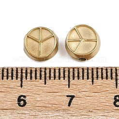 304 Stainless Steel Beads&nbsp;STAS-K295-31G