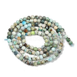 Natural HuBei Turquoise Beads Strands&nbsp;G-L628-B02-3mm-01
