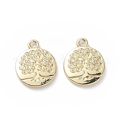 Alloy Pendants&nbsp;PALLOY-K001-30