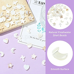 40Pcs 4 Styles Natural Freshwater Shell Beads Sets&nbsp;BSHE-YW0001-25