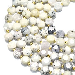 Natural White African Opal Beads Strands&nbsp;G-C116-A131-01