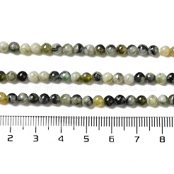 Natural Xiuyu Jade Beads Strands&nbsp;G-H298-A08-01