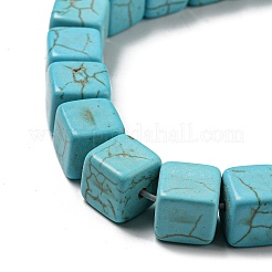 Dyed Synthetic Turquoise Beads Strands&nbsp;G-G075-B02-01