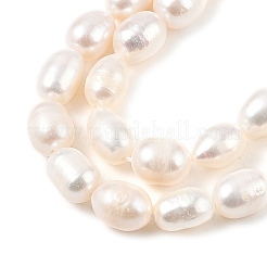 Natural Cultured Freshwater Pearl Beads Strands&nbsp;PEAR-I007-01C-02A