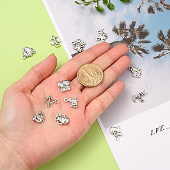 Zinc Alloy Charms&nbsp;PALLOY-CJ0001-100