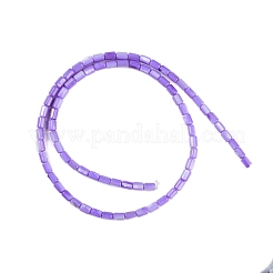 Natural Freshwater Shell Beads Strands&nbsp;BSHE-H109-17C