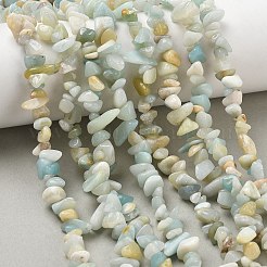 Natural Flower Amazonite Chips Beads Strands&nbsp;G-M205-12B