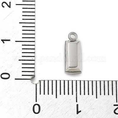 304 Stainless Steel Charm&nbsp;STAS-L022-242P-16-1
