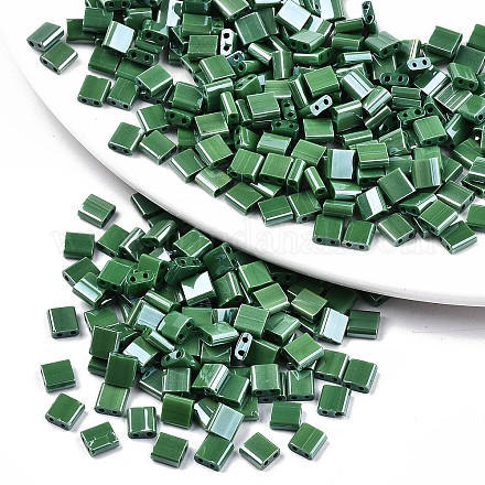 FGB 2-Hole Glass Seed Beads SEED-S031-L-ST127-1