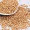 Baking Paint Glass Seed Beads, Cylinder, Sandy Brown, 2x1.5mm, Hole: 1mm, about 50398pcs/pound