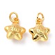 Brass Charms&nbsp;ZIRC-I054-29-1