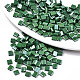 FGB 2-Hole Glass Seed Beads&nbsp;SEED-S031-L-ST127-1