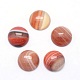 Natural Red Banded Agate Cabochons&nbsp;G-P393-R40-10MM-1