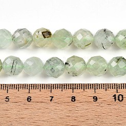 Natural Prehnite Beads Strands&nbsp;G-S345-10mm-28
