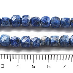 Dyed Natural Sesame Jasper Beads Strands&nbsp;G-C179-B02-01