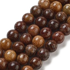 Natural Gemstone Beads Strands&nbsp;G-H045-A01-8MM