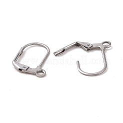 Tarnish Resistant 304 Stainless Steel Leverback Earring Findings&nbsp;STAS-E007-6