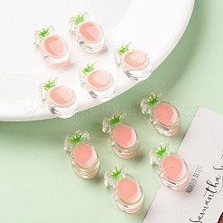 Transparent Enamel Acrylic Beads&nbsp;TACR-S155-002C