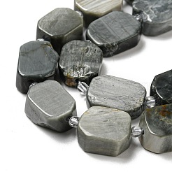 Natural Eagle Eye Stone Beads Strands&nbsp;G-G072-B01-01