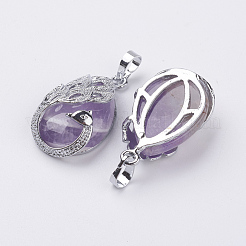 Natural Amethyst Pendants&nbsp;G-E442-04C