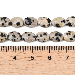 Natural Dalmatian Jasper Beads Strands&nbsp;G-H349-A01-02