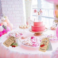 Zinc Alloy Resin Cherry Keychains&nbsp;KEYC-GL0001-18