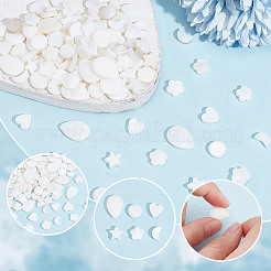 120Pcs 6 Styles Natural Shell Beads&nbsp;SHEL-AR0001-16