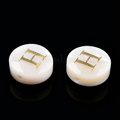 Natural Freshwater Shell Beads&nbsp;SHEL-N036-01H