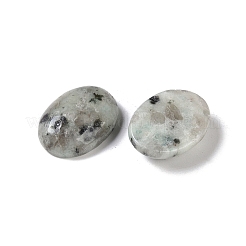 Natural Sesame Jasper Cabochons&nbsp;G-B080-01A-04