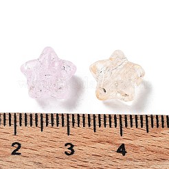 Transparent Acrylic Beads&nbsp;OACR-Z013-36