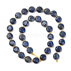 Natural Lapis Lazuli Beads Strands&nbsp;G-C116-A110-01