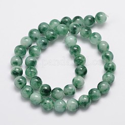 Natural & Dyed Malaysia Jade Bead Strands&nbsp;G-A146-10mm-C01