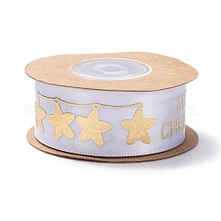Polyester Ribbon&nbsp;SRIB-P018-B03