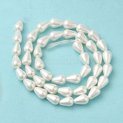Electroplate Shell Pearl Beads Strands&nbsp;BSHE-G010-6x9mm-01A
