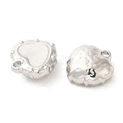 Acrylic Pendants&nbsp;PALLOY-P303-15P