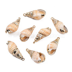 Electroplate Spiral Shell Pendants&nbsp;X-SSHEL-T006-12