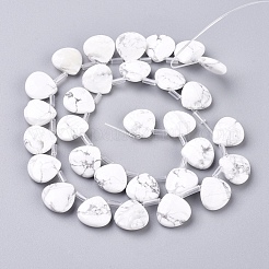 Synthetic Howlite Beads Strands&nbsp;G-G821-14A