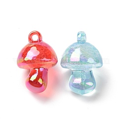Transparent Acrylic Pendants&nbsp;MACR-L013-01