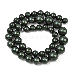 Electroplated Shell Pearl Graduated Beads Strands&nbsp;BSHE-C011-04-02
