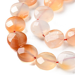 Natural Agate Beads Strands&nbsp;G-H024-A01-02
