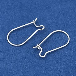 925 Sterling Silver Hoop Earrings&nbsp;X-STER-S002-55