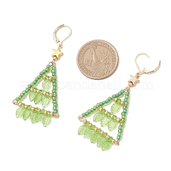 Handmade Glass Seed Beads Leverback Earrings&nbsp;EJEW-MZ00571