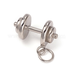 304 Stainless Steel Pendants&nbsp;STAS-I132-07