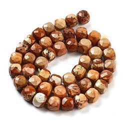 Natural Picture Jasper Beads Strands&nbsp;G-H028-A06-01