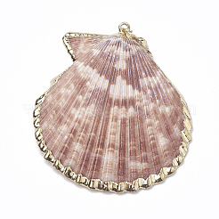 Sea Shell Pendants&nbsp;SSHEL-S258-01